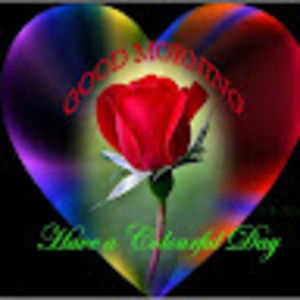 Meet your Posher, Sammi ladi